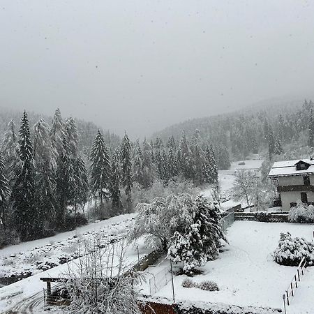 Dolomia Apartments & Spa Dimaro Dış mekan fotoğraf