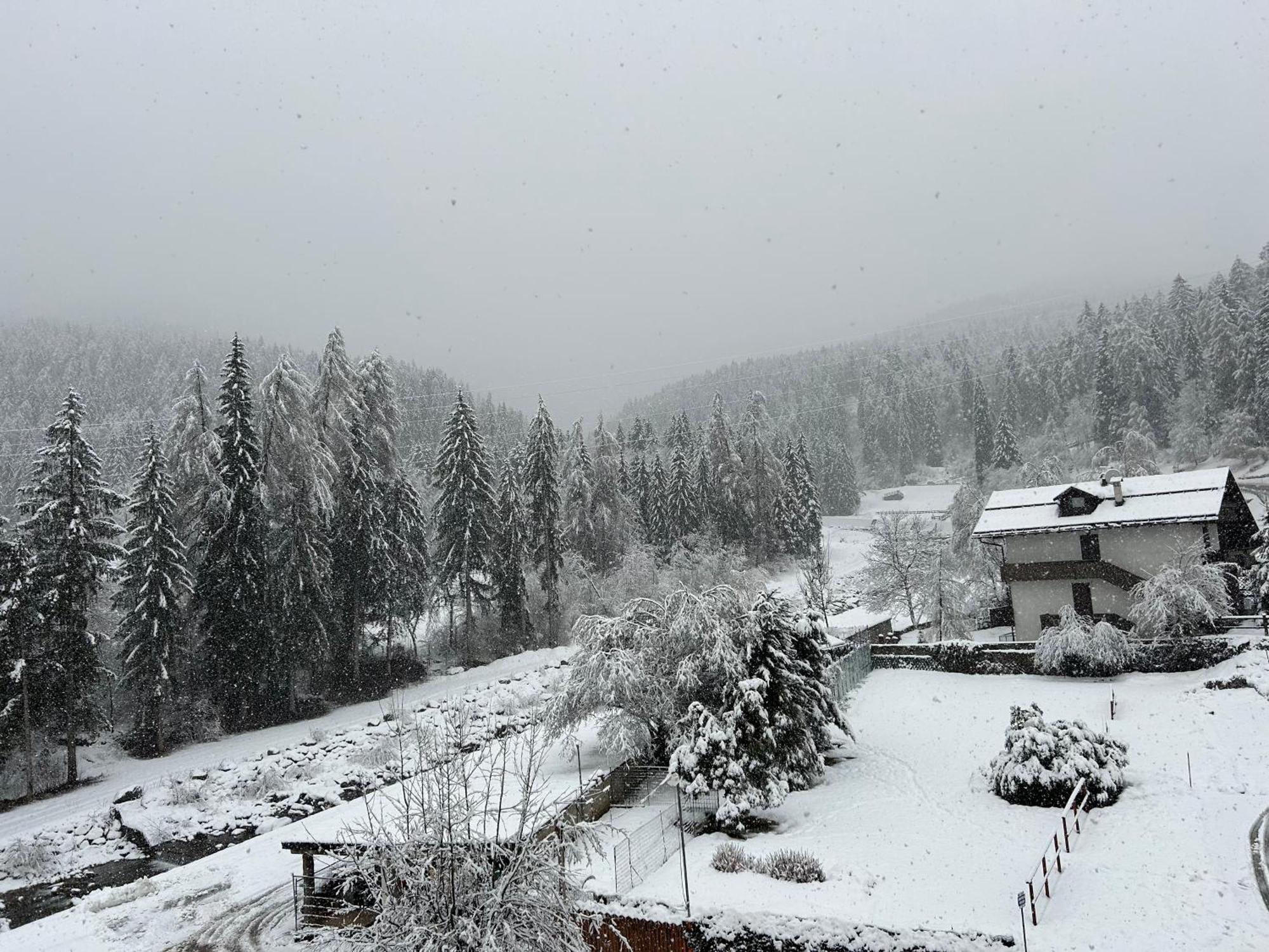 Dolomia Apartments & Spa Dimaro Dış mekan fotoğraf