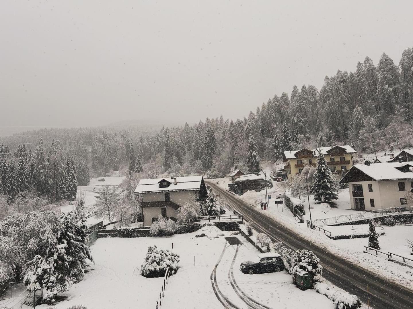 Dolomia Apartments & Spa Dimaro Dış mekan fotoğraf
